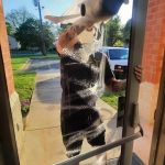 window cleaning